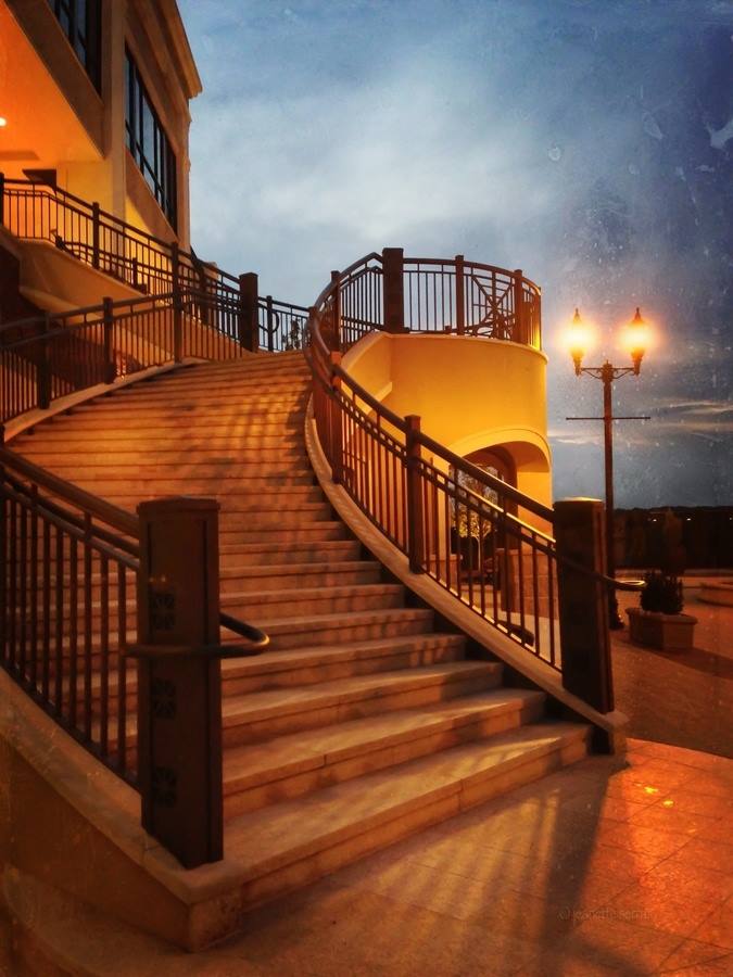 17626261_1258248217605154_8599158115666927465_n